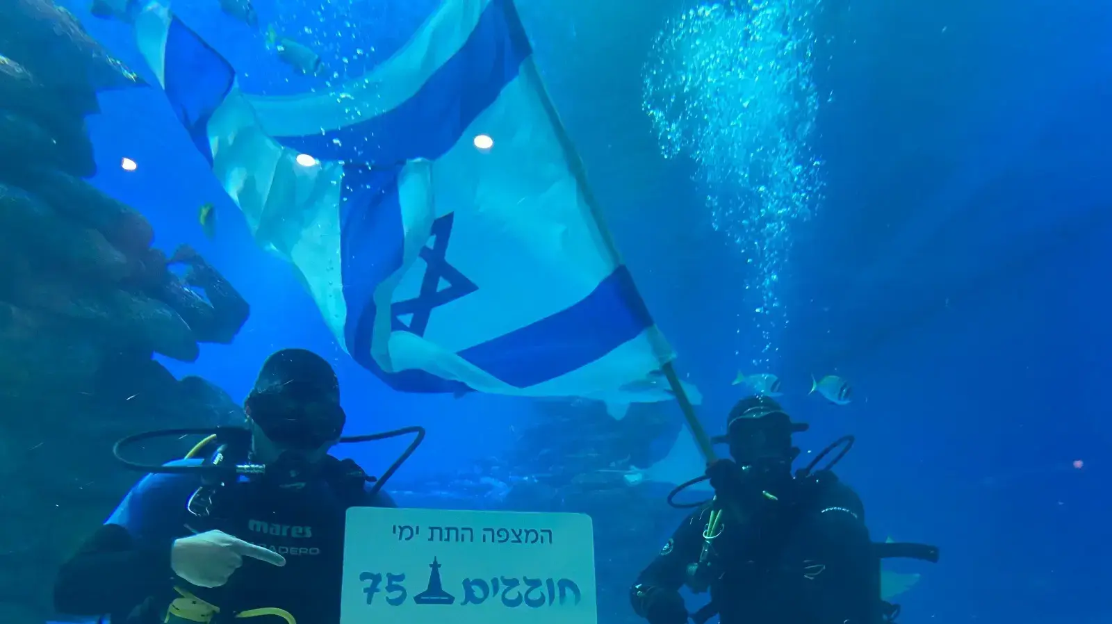 צוללני המצפה התת ימי באילת לכבוד יום העצמאות ה-75 צוללני המצפה התת ימי באילת לכבוד יום העצמאות ה-75