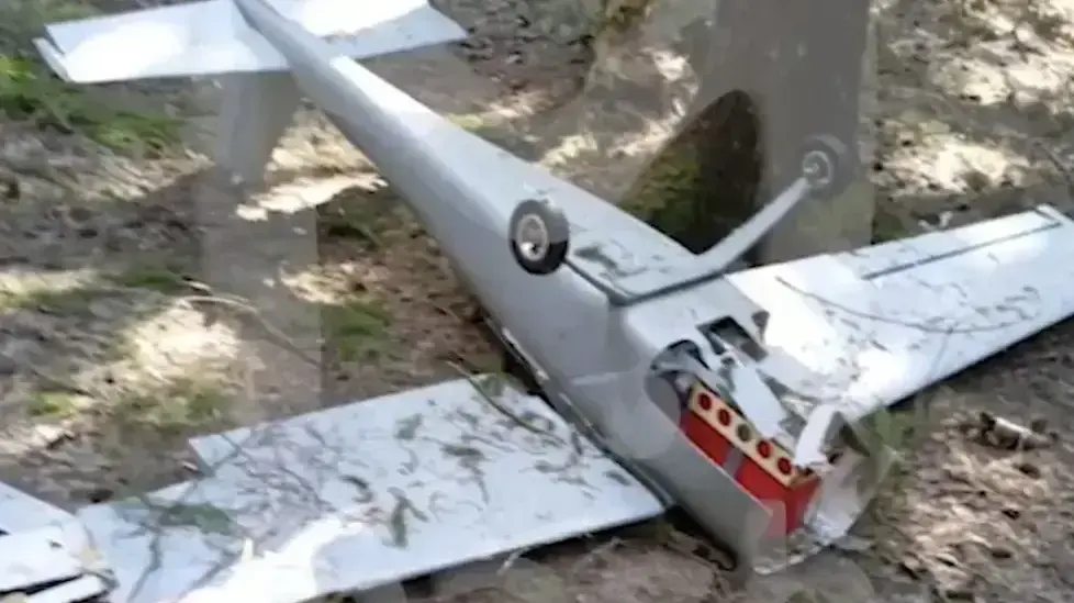 מל"ט שהיה בדרכו להתנקש בוולדימיר פוטין מל"ט שהיה בדרכו להתנקש בוולדימיר פוטין