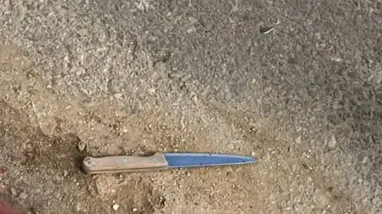 סכין שבה נעשה שימוש בניסיון הפיגוע במעבר שקד, 15 במאי 2023 סכין שבה נעשה שימוש בניסיון הפיגוע במעבר שקד, 15 במאי 2023