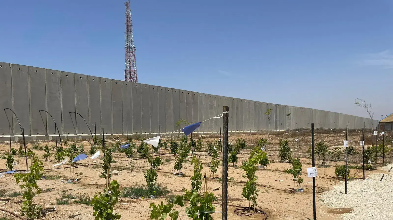 כרם שלום, שלושה ימים אחרי הפסקת האש כרם שלום, שלושה ימים אחרי הפסקת האש