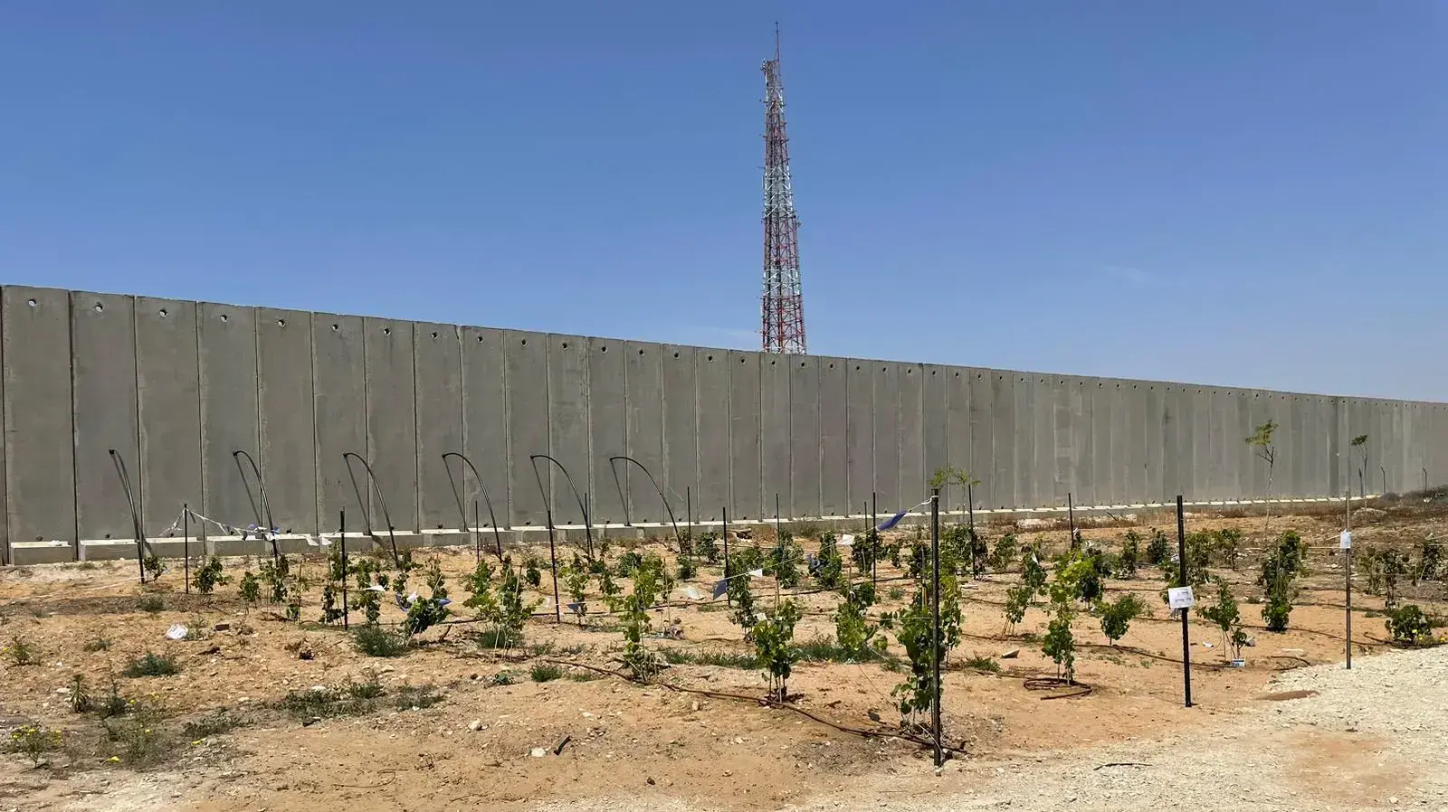כרם שלום, שלושה ימים אחרי הפסקת האש כרם שלום, שלושה ימים אחרי הפסקת האש