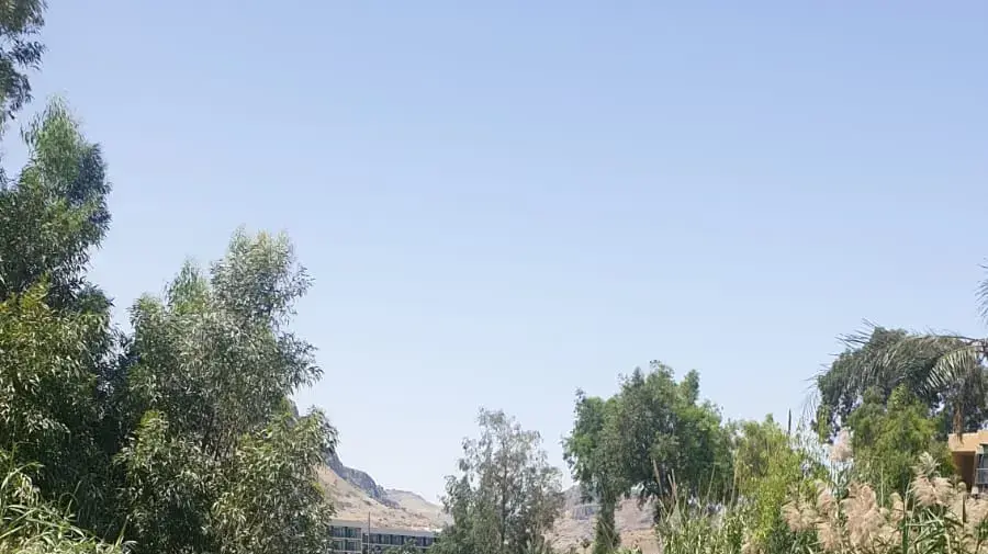 חשד להרעלה בשפך נחל צלמון לכנרת חשד להרעלה בשפך נחל צלמון לכנרת