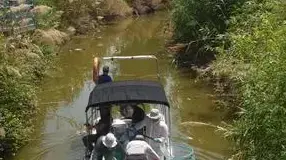תוצאות המעבדה שהתקבלו עבור רשות המים, מצביעות על הימצאותם של חומרי הדברה אסורים מסוג אינדוסולפן בריכוזים חריגים בדגים ובמים שנדגמו בשפך נחל צלמון לכנרת