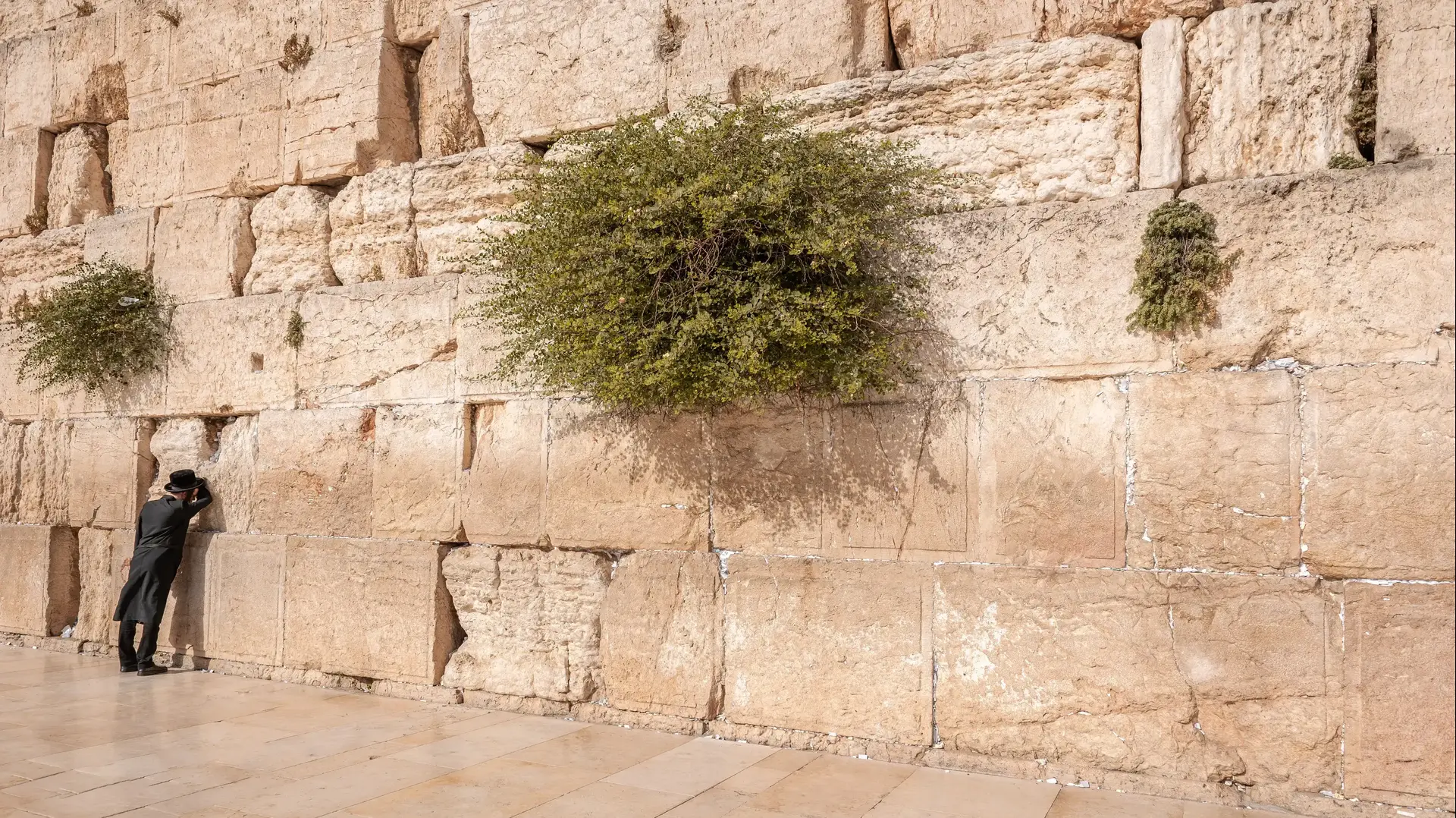 הכותל המערבי בירושלים הכותל המערבי בירושלים