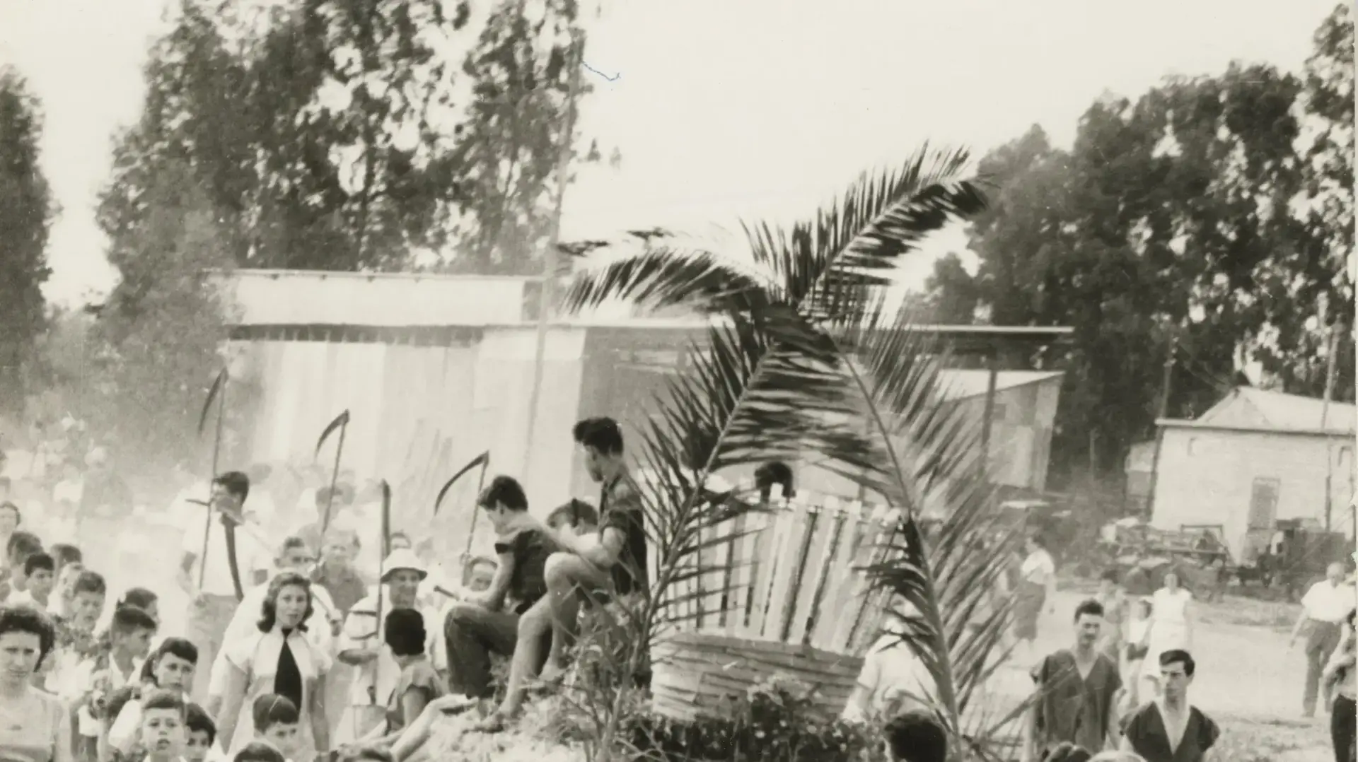 חג שבועות בקיבוץ עין החורש, שנות החמישים