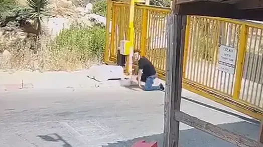 חדירת מחבל ליישוב טנא עומרים בדרום הר חברון חדירת מחבל ליישוב טנא עומרים בדרום הר חברון