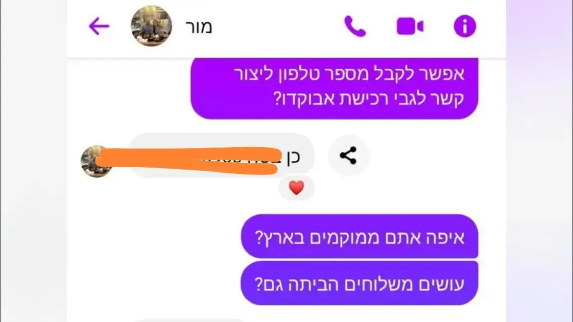 חוליית גנבי אבוקדו בצפון חוליית גנבי אבוקדו בצפון