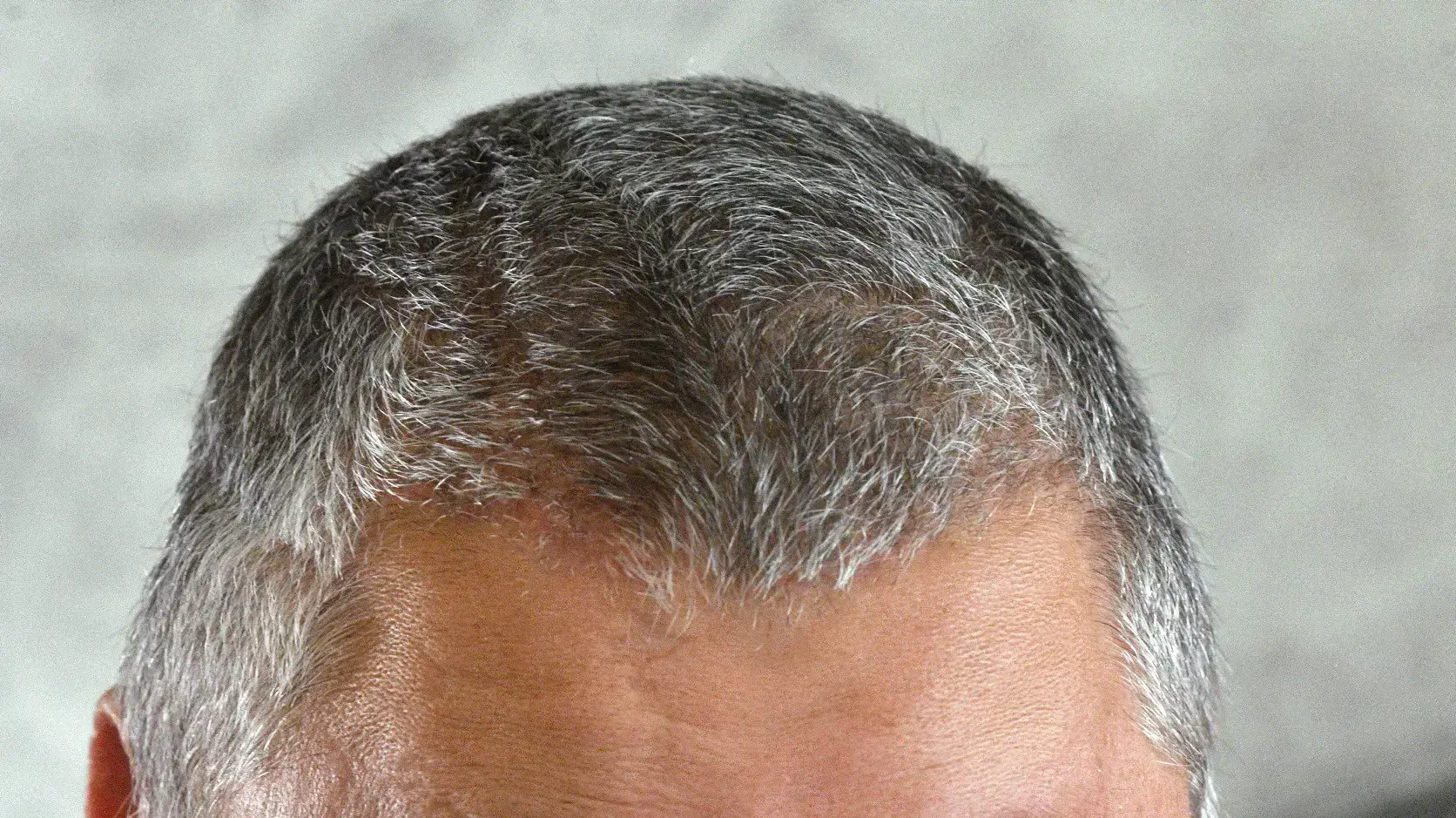 ארקדי דוכין ארקדי דוכין