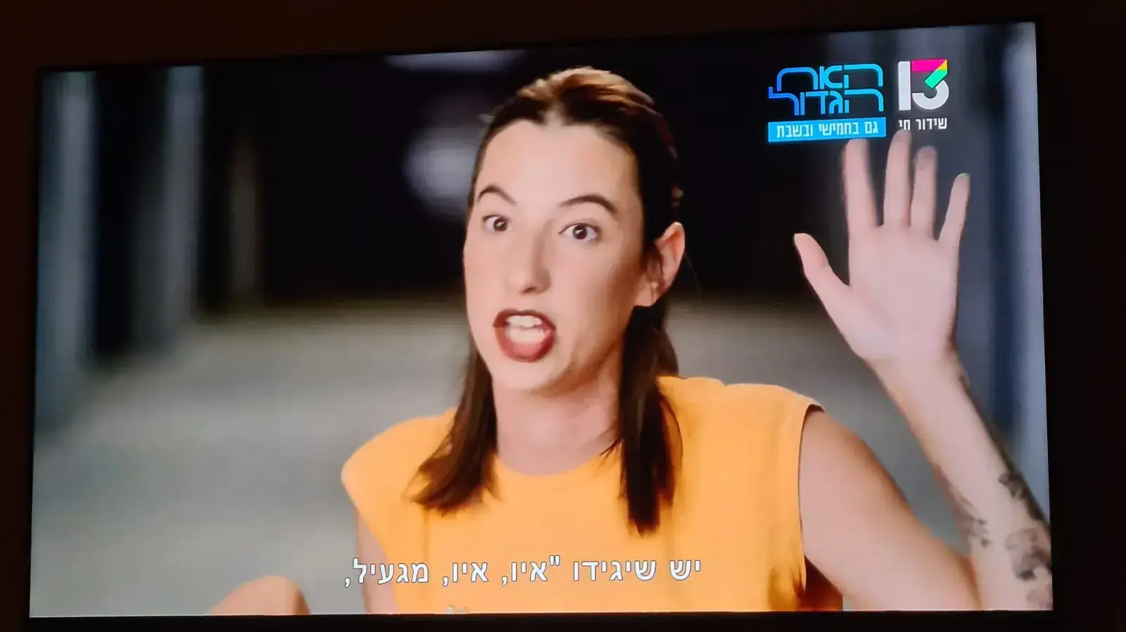 יובל לוי האח הגדול יובל לוי האח הגדול