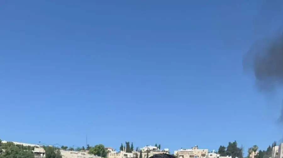 לוחמי האש חילצו תשעה גורי כלבים שנלכדו בשריפת חורש סמוך לבית החולים אל הילאל בשכונת הר הזיתים, ירושלים לוחמי האש חילצו תשעה גורי כלבים שנלכדו בשריפת חורש סמוך לבית החולים אל הילאל בשכונת הר הזיתים, ירושלים