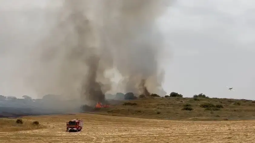 שריפה חורש בסמוך למסילת הרכבת, בסמוך ליישוב טל שחר
2 ביוני 2023 שריפה חורש בסמוך למסילת הרכבת, בסמוך ליישוב טל שחר
2 ביוני 2023