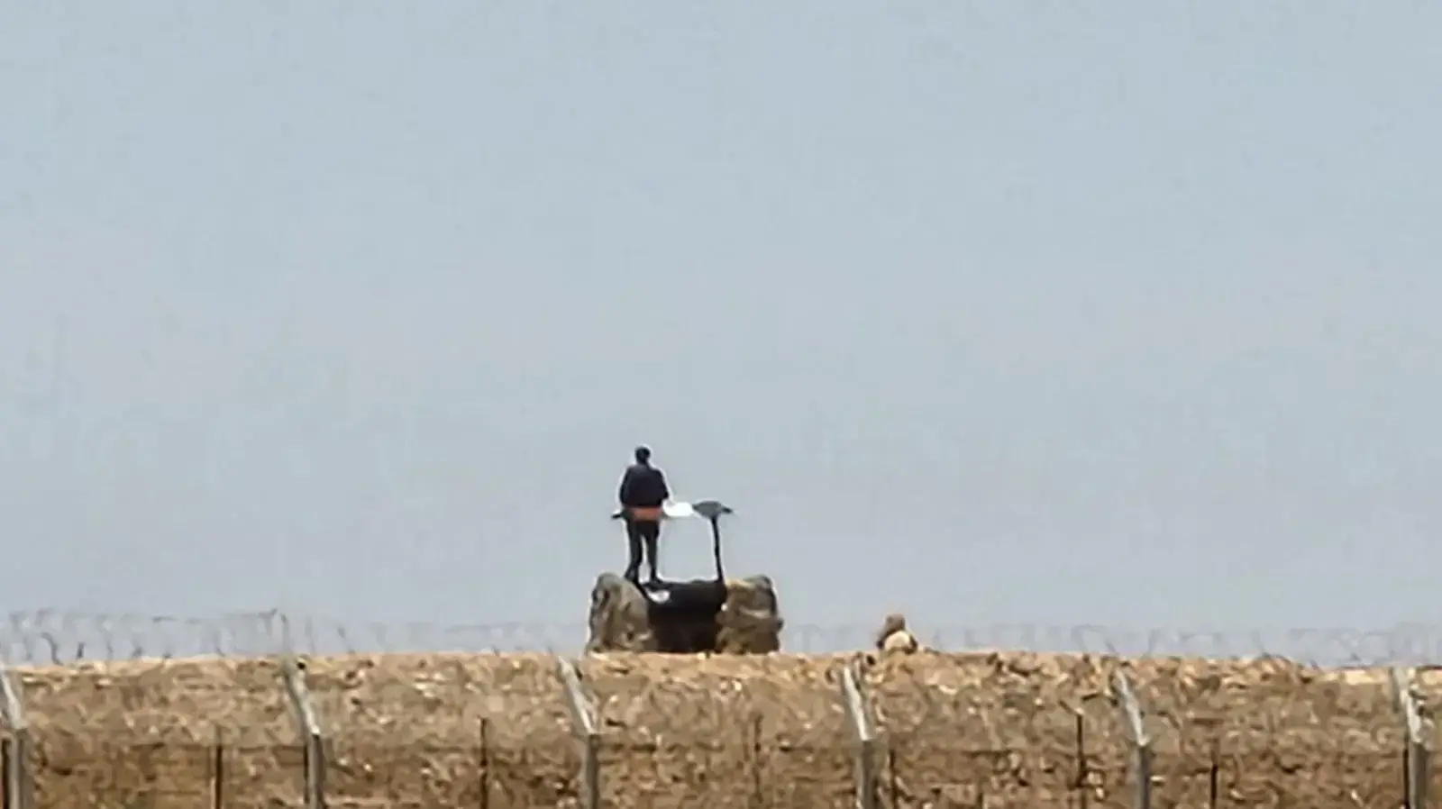 שוטר מצרי על הגבול שוטר מצרי על הגבול