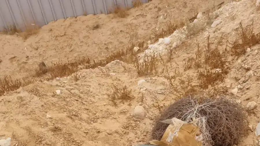 שב״כ עצר את החשודים בגניבת התחמושת מבסיס צאלים אמש; כלל התחמושת שנגנבה הוסגרה במסגרת חקירת החשודים בשב"כ 07 ביוני 2023 שב״כ עצר את החשודים בגניבת התחמושת מבסיס צאלים אמש; כלל התחמושת שנגנבה הוסגרה במסגרת חקירת החשודים בשב"כ 07 ביוני 2023