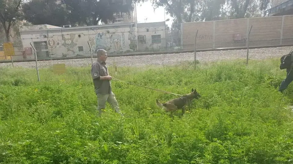 עיישלה, כלבה של יחידת הכלבנים עיישלה, כלבה של יחידת הכלבנים