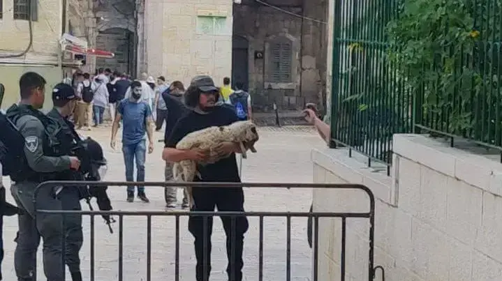 פעילי הר הבית נעצרו עם כבש