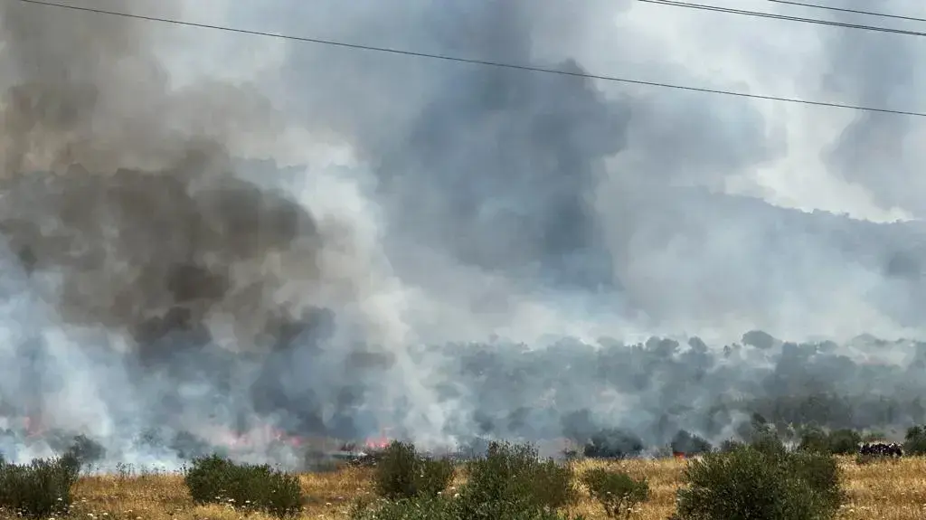 דיווח פלסטיני: מתנחלים מציתים בתים רכבים ושדות של פלסטינים כנקמה על הפיגוע בעלי 21 ביוני 2023