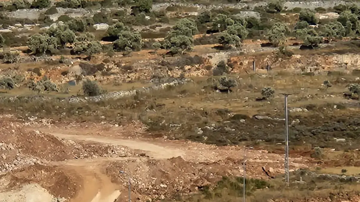 חשד לניסיון התאבדות בצומת תפוח, צעירה נפצעה באורח קל חשד לניסיון התאבדות בצומת תפוח, צעירה נפצעה באורח קל