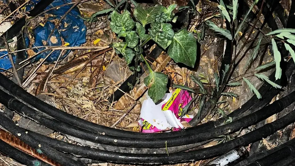 עובד זר מתאילנד הכה קשות ודקר את חברו לעבודה רק משום שזה העיר לו וביקש ממנו להפסיק להכות כלב עובד זר מתאילנד הכה קשות ודקר את חברו לעבודה רק משום שזה העיר לו וביקש ממנו להפסיק להכות כלב