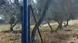 רקטה שוגרה מאזור העיר ג'נין והתפוצצה בשטח פלסטיני. 26 ביוני 2023 רקטה שוגרה מאזור העיר ג'נין והתפוצצה בשטח פלסטיני. 26 ביוני 2023