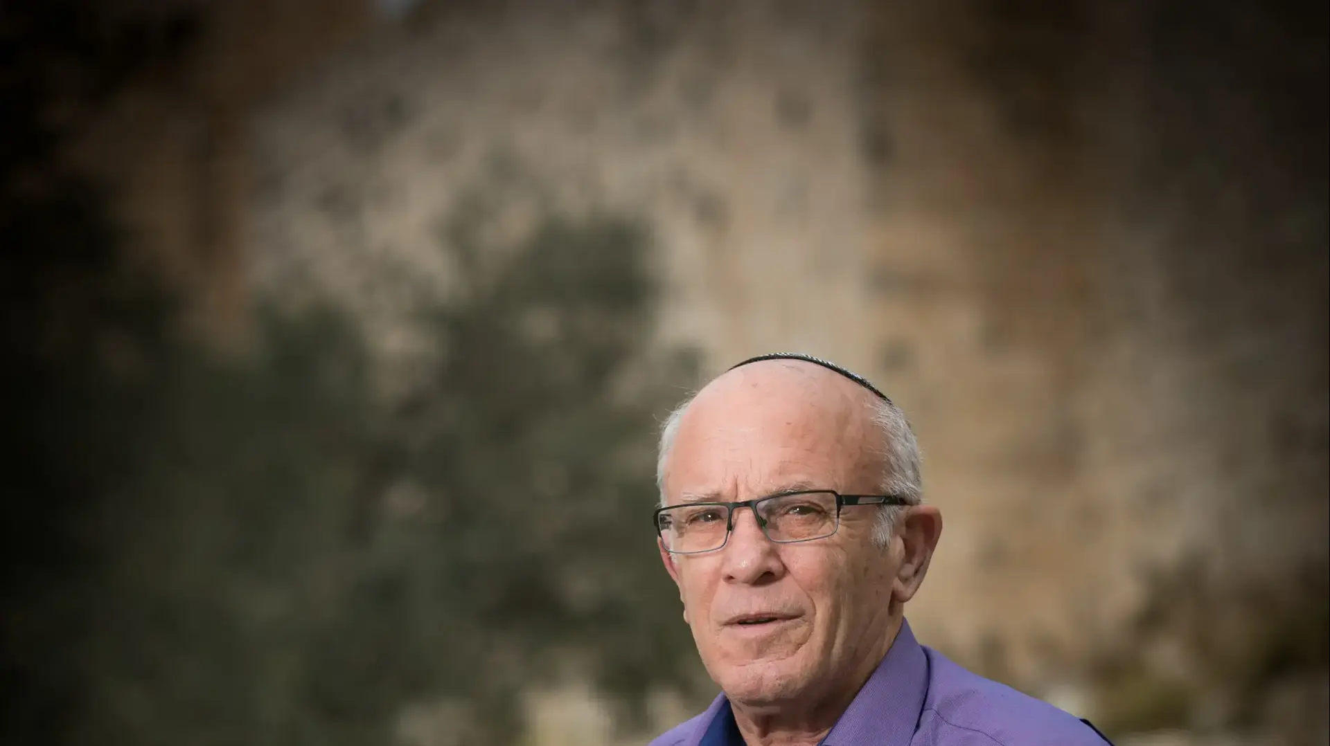 פנחס ולרשטיין, 2016
פנחס ולרשטיין, 2016