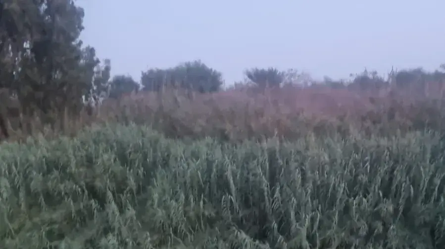 חילוץ נוסעי טרקטורון שהדרדר לוואדי סמוך לפארק אריאל שרון, 30 ביוני 2023 חילוץ נוסעי טרקטורון שהדרדר לוואדי סמוך לפארק אריאל שרון, 30 ביוני 2023