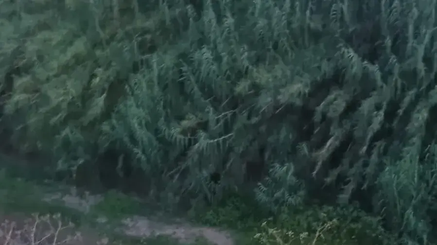 חילוץ נוסעי טרקטורון שהדרדר לוואדי סמוך לפארק אריאל שרון, 30 ביוני 2023