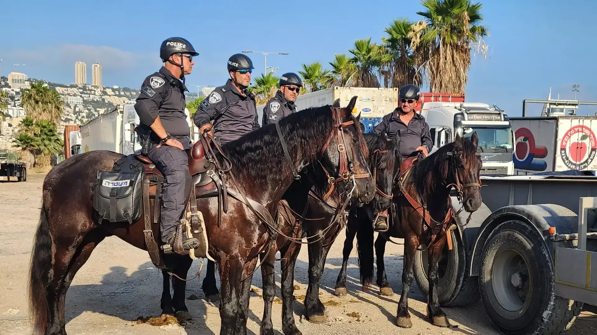 שוטרים ופרשים נערכים בנמל חיפה שוטרים ופרשים נערכים בנמל חיפה