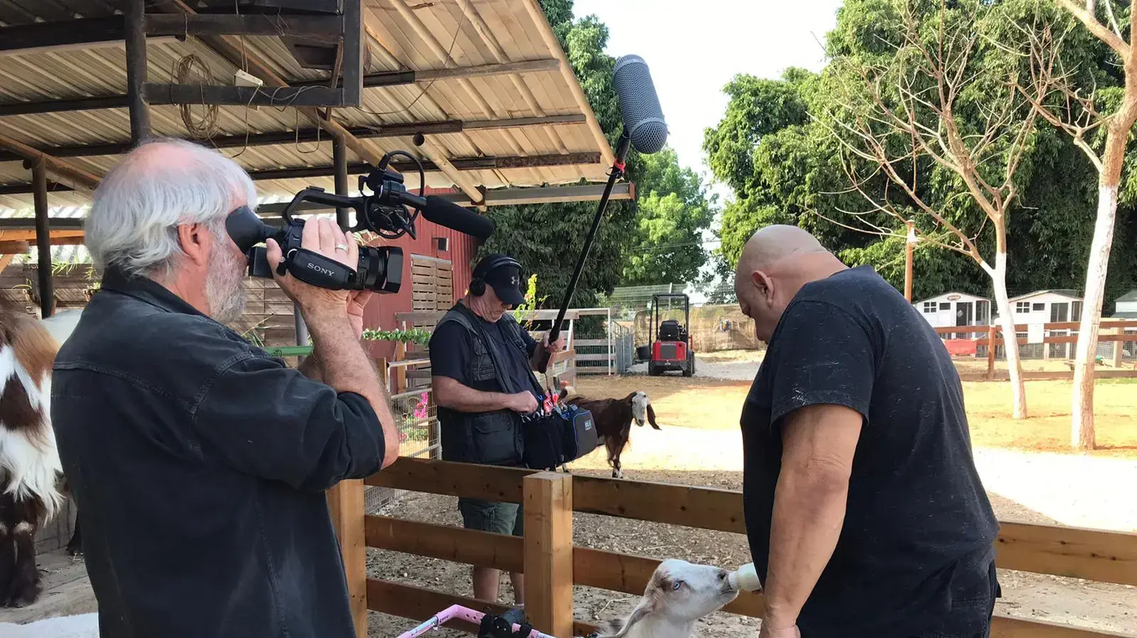 בילי אוסטרו בחוות החופש בילי אוסטרו בחוות החופש