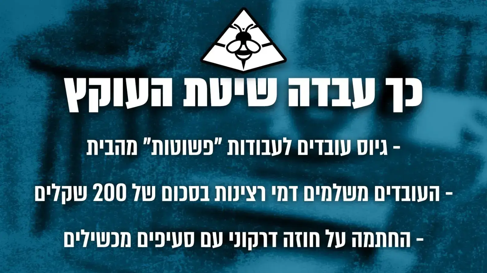 שיטת העוקץ של חברת "המחשב שלי בע"מ" שיטת העוקץ של חברת "המחשב שלי בע"מ"