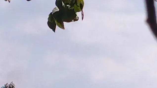 גדודי בני עייאש טוענים ששיגרו לפני זמן קצר 2 רקטות לעבר הישוב שקד.