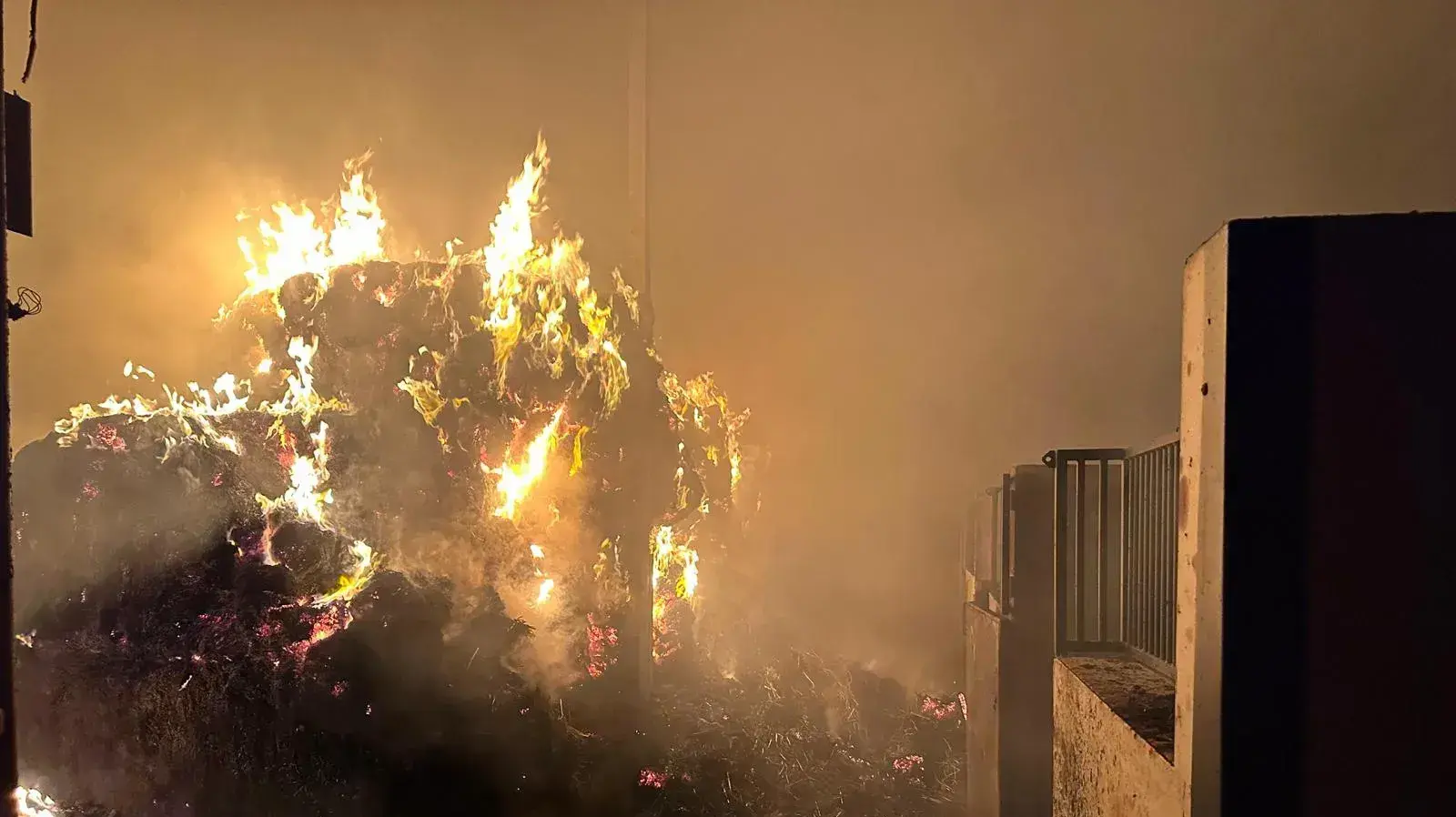 שריפה בחוות סוסים, מושב כפר שמאי. 17 ביולי 2023
שריפה בחוות סוסים, מושב כפר שמאי. 17 ביולי 2023