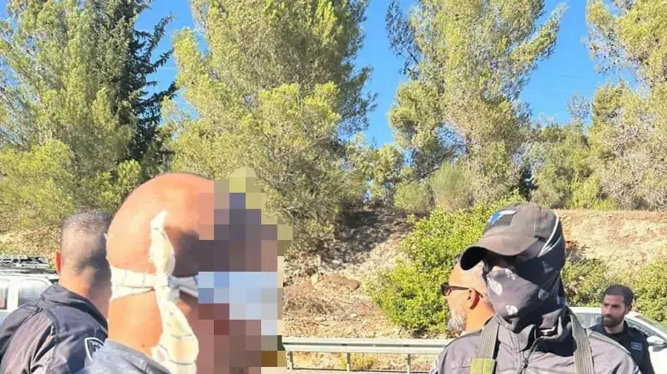 מעצר חשודים שהציתו מתבן וגרמו להרג סוסים בכפר שמאי מעצר חשודים שהציתו מתבן וגרמו להרג סוסים בכפר שמאי