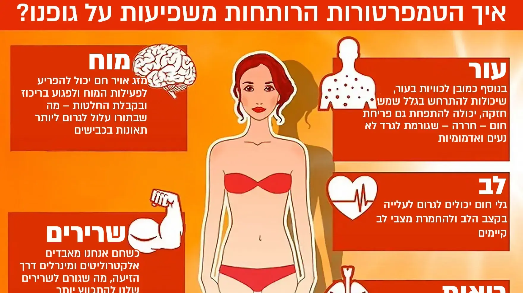 אינפו חום אינפו חום