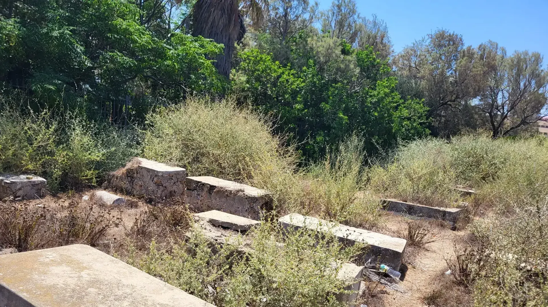 בית הקברות המוסלמי
31.07.23