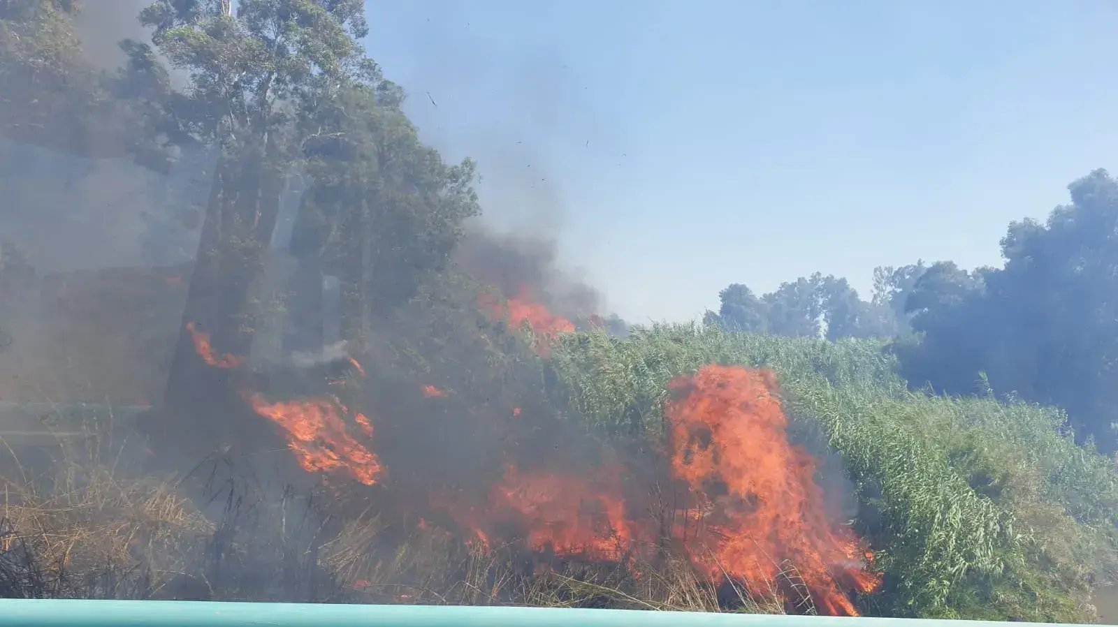 שריפה שפרצה בשבעה מוקדים בשטח פתוח באזור גשר אריק שבגליל העליון - סמוך לכביש 87. 4 באוגוסט 2023