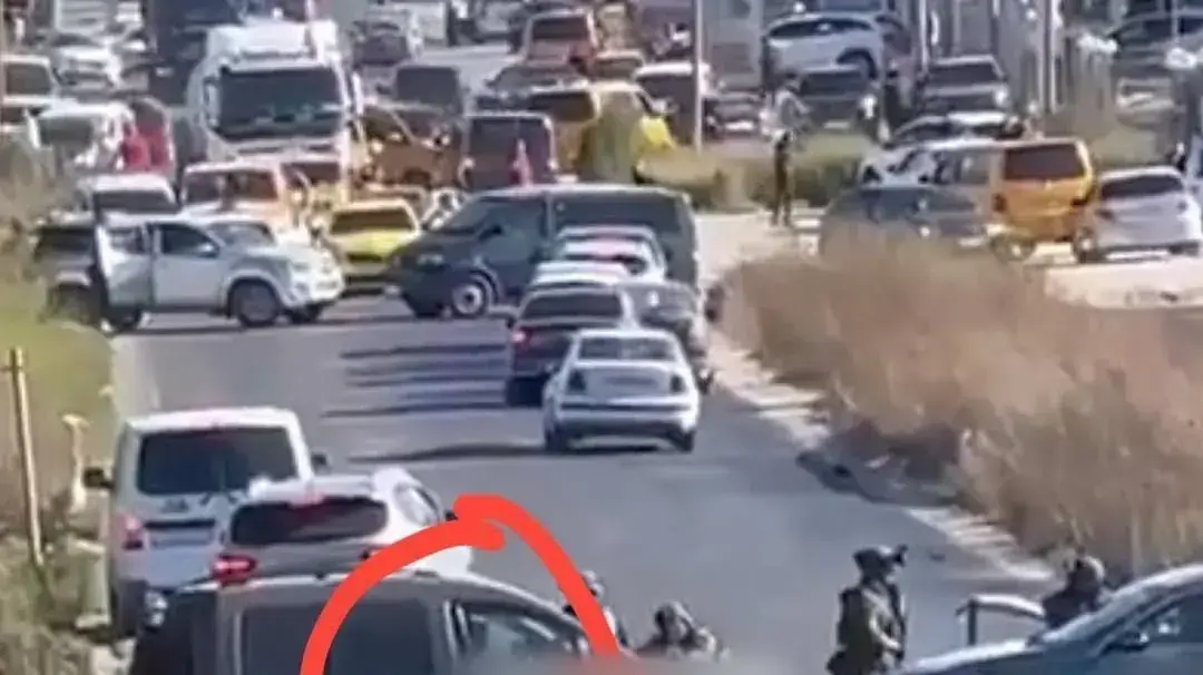 צה"ל חיסל שני מחבלים ליד ג'נין שהיו בדרכם לבצע פיגוע
צה"ל חיסל שני מחבלים ליד ג'נין שהיו בדרכם לבצע פיגוע