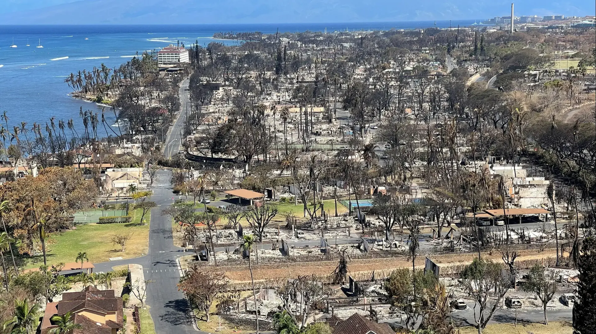 בתים שרופים אחרי השריפה בלהיינה, מוואי, הוואי, 11 באוגוסט 2023