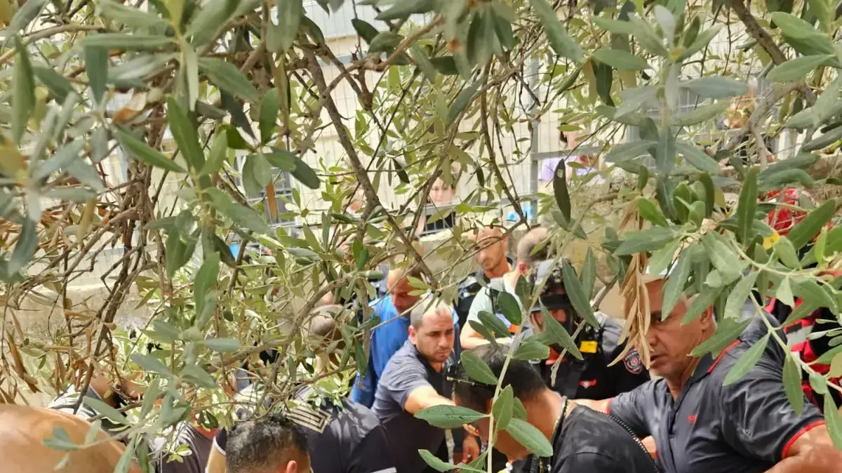 חילוץ שני כבאים ואדם נוסף מבור בדיר אל אסד 13 באוגוסט 2023 חילוץ שני כבאים ואדם נוסף מבור בדיר אל אסד 13 באוגוסט 2023