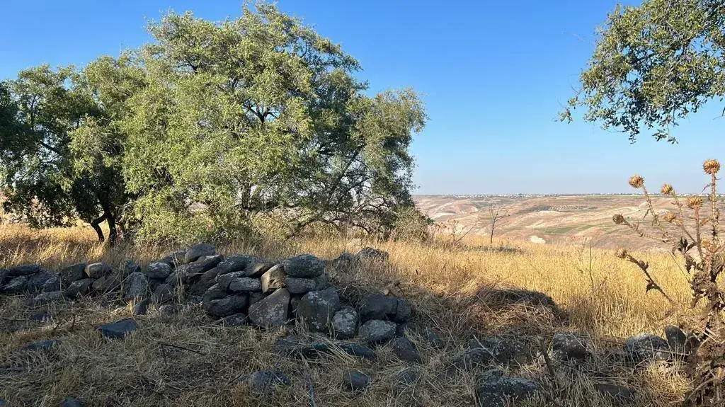 תצפית משולש הגבולות בגולן תצפית משולש הגבולות בגולן