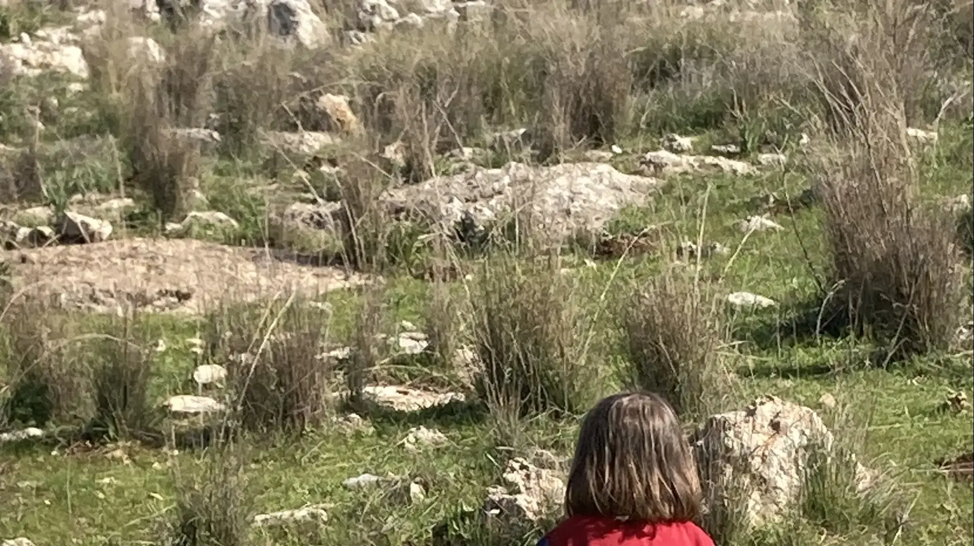 הבת של רותם ובר הבת של רותם ובר