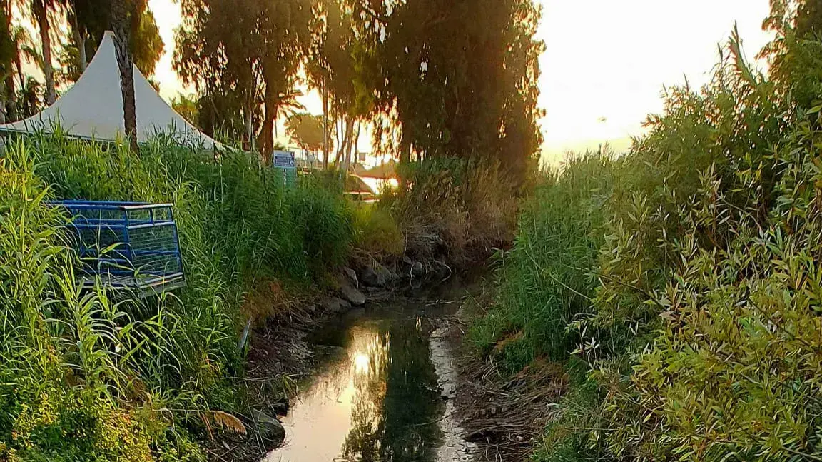 נחל צלמון 