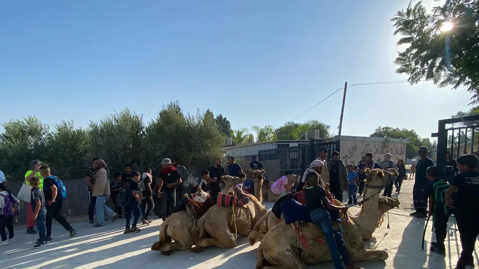תלמידים מהפזורה הבדואית הגיעו לבית הספר עם גמלים עקב מחסור בהסעות. 5 בספטמבר 2023 תלמידים מהפזורה הבדואית הגיעו לבית הספר עם גמלים עקב מחסור בהסעות. 5 בספטמבר 2023