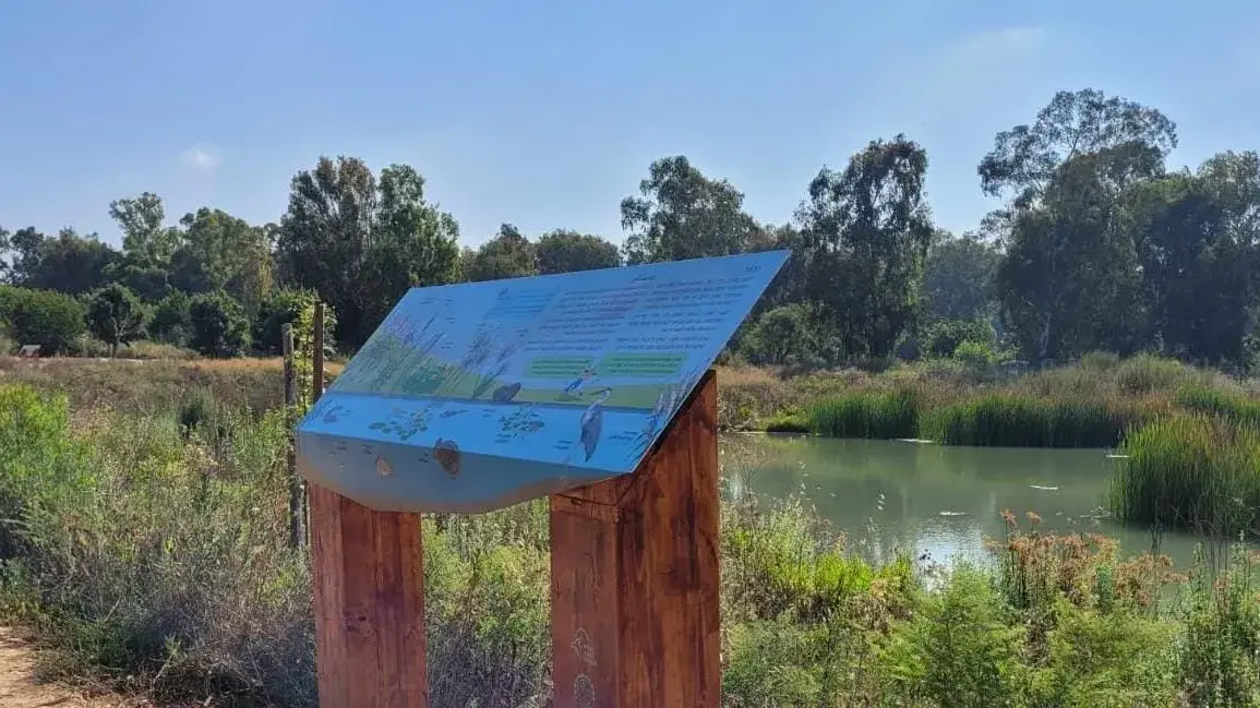 נחל עינת בגן לאומי ירקון נחל עינת בגן לאומי ירקון