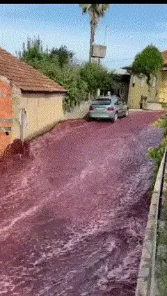 נהר יין אדום זורם בעיירה בפורטוגל נהר יין אדום זורם בעיירה בפורטוגל