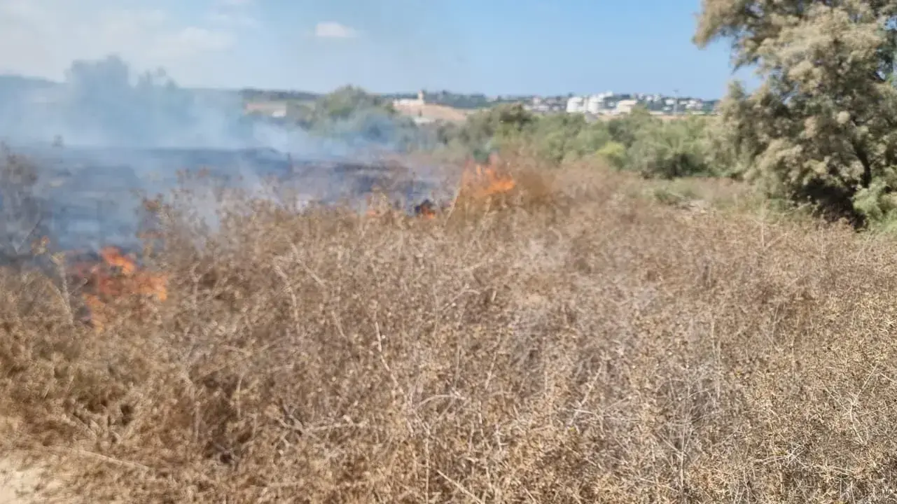 שריפה ביער כיסופים, 22 בספטמבר 2023