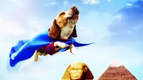 מתוך הסרט Underdog מתוך הסרט Underdog