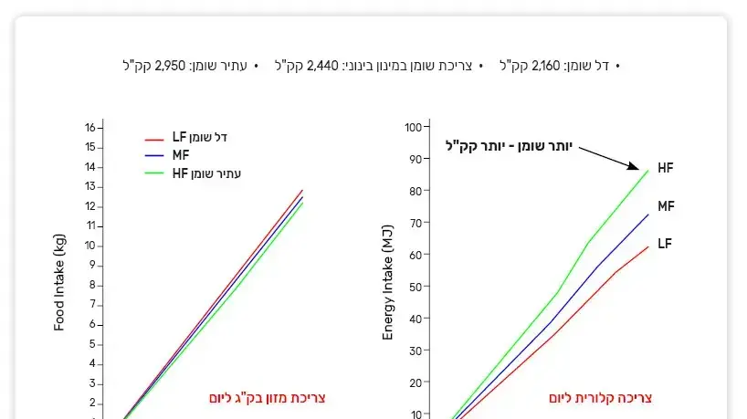 גרף אבא חטוב גרף אבא חטוב