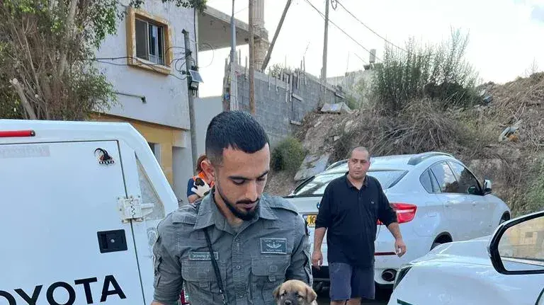 כלבים מוזנחים וגנובים נמצאו בפשיטת משטרה על מתחם סמים באבקה אל גרביה 03 באוקטובר 2023 כלבים מוזנחים וגנובים נמצאו בפשיטת משטרה על מתחם סמים באבקה אל גרביה 03 באוקטובר 2023