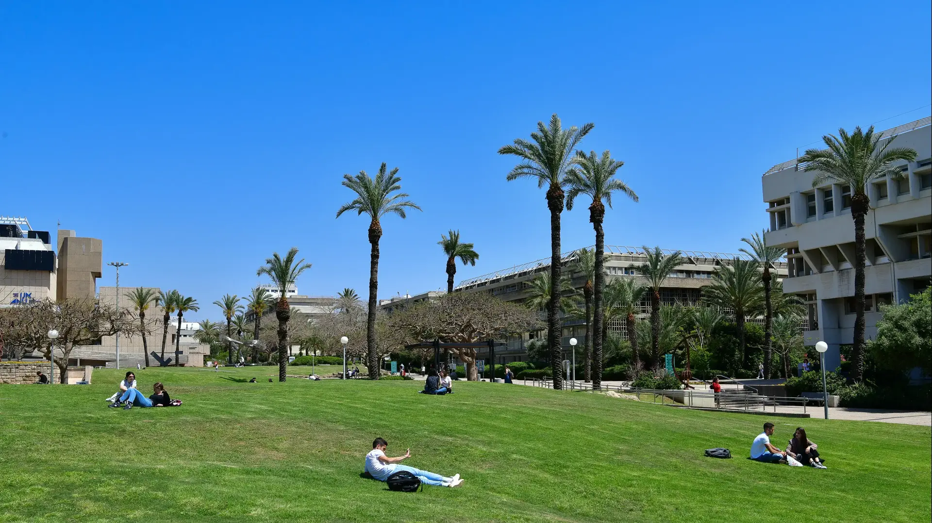 אוניברסיטת תל אביב