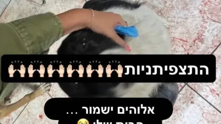 פוסט של תצפיתנית בגבול עזה בעקבות מלחמת הפתע של חמאס פוסט של תצפיתנית בגבול עזה בעקבות מלחמת הפתע של חמאס